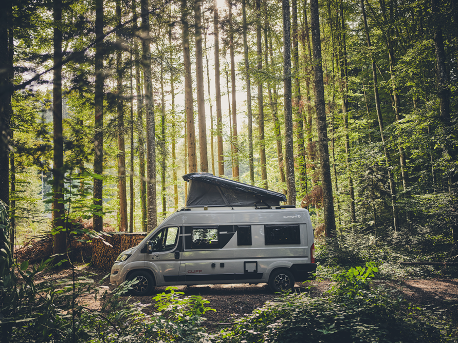 Sunlight CLIFF 600 Adventure mit aufgestelltem Schlafdach im Outdoor, Mitten im Wald mit vielen grünen Bäumen und einer Holzbeige
